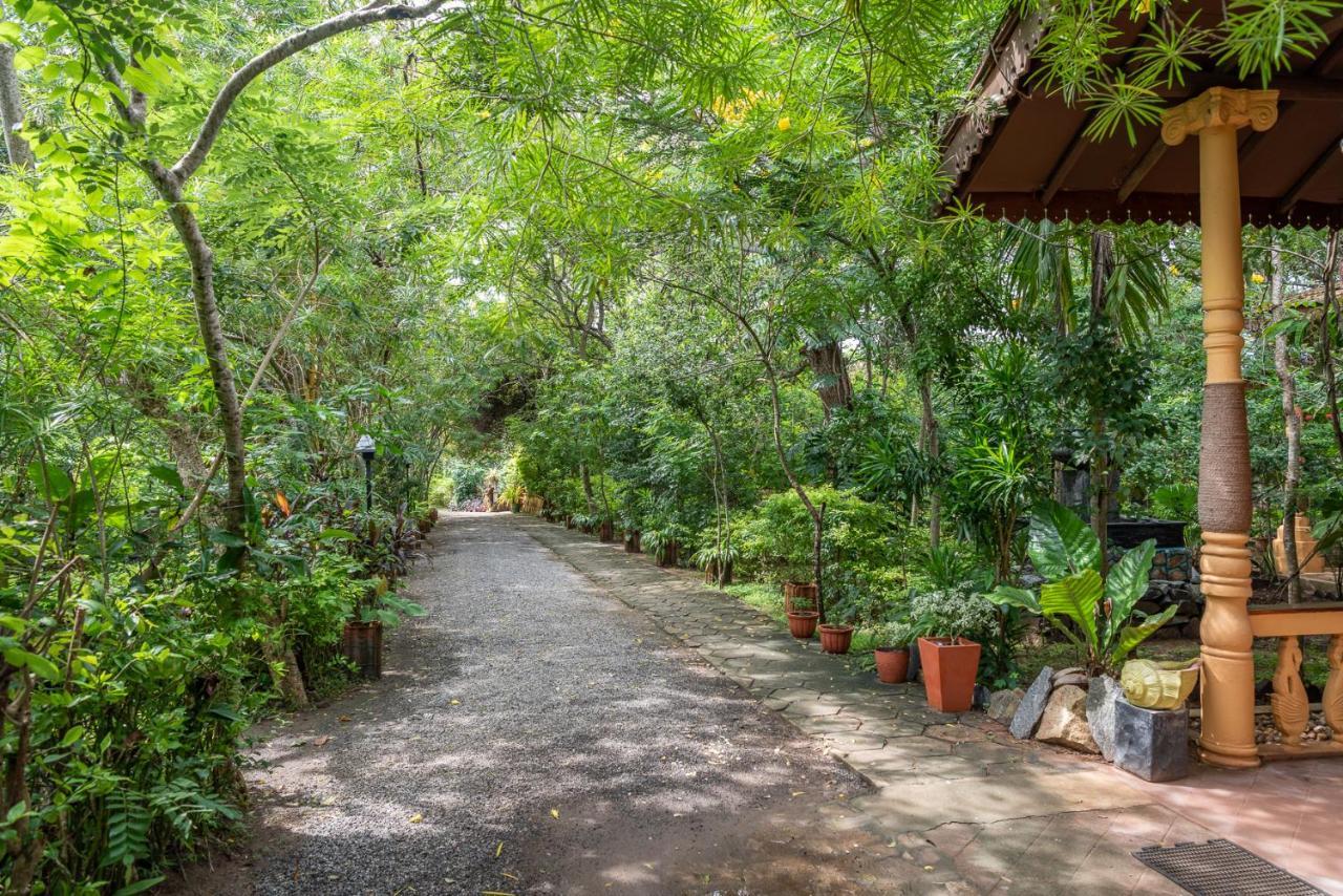 Nature Lanka Ayurveda Resort - All Meals And Ayurveda Treatments With Yoga Тангалла Экстерьер фото