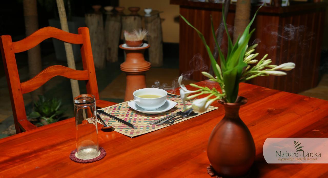 Nature Lanka Ayurveda Resort - All Meals And Ayurveda Treatments With Yoga Тангалла Экстерьер фото