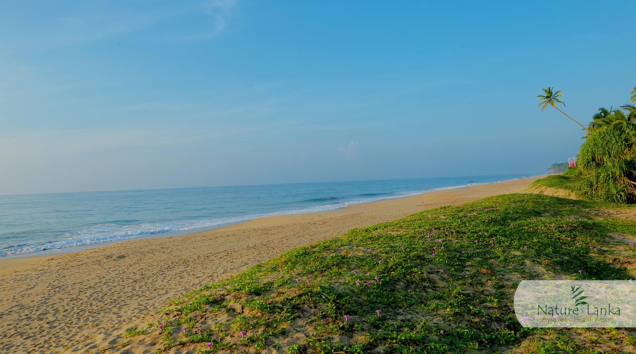 Nature Lanka Ayurveda Resort - All Meals And Ayurveda Treatments With Yoga Тангалла Экстерьер фото